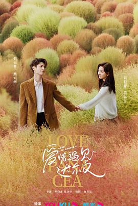 爱情对赌